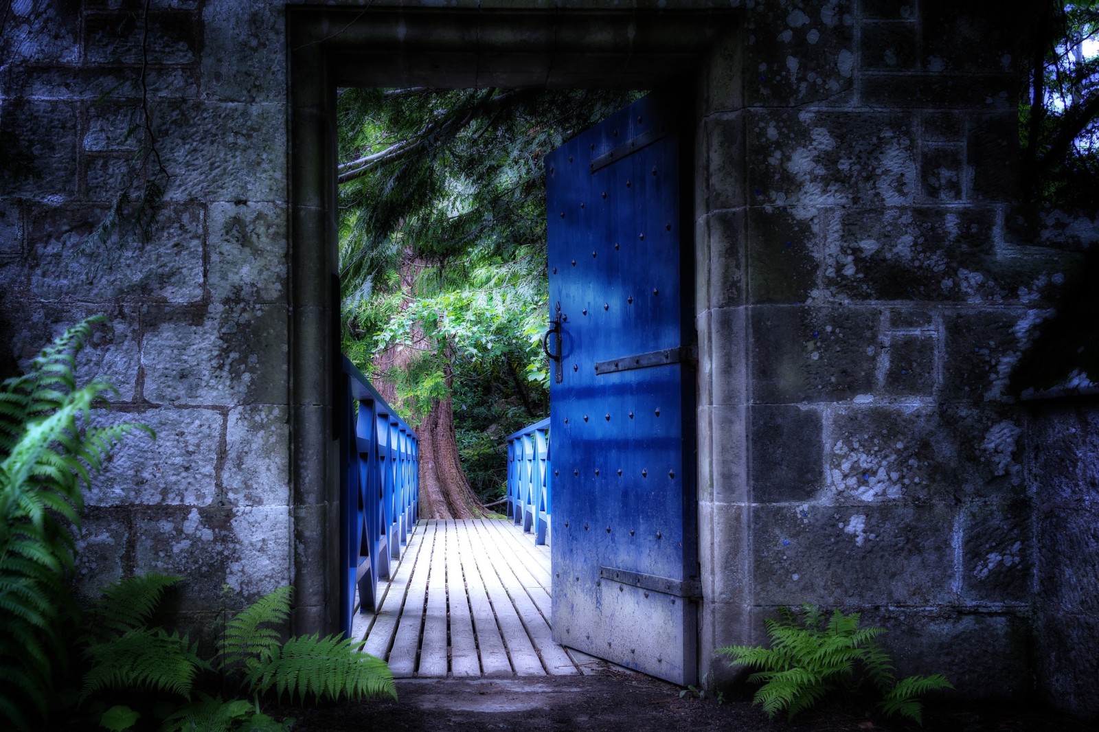 Pildi allikas: Peter H, pixabay.com