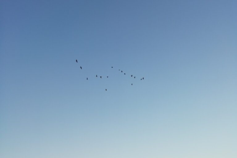 Kevad on kohe-kohe käes!