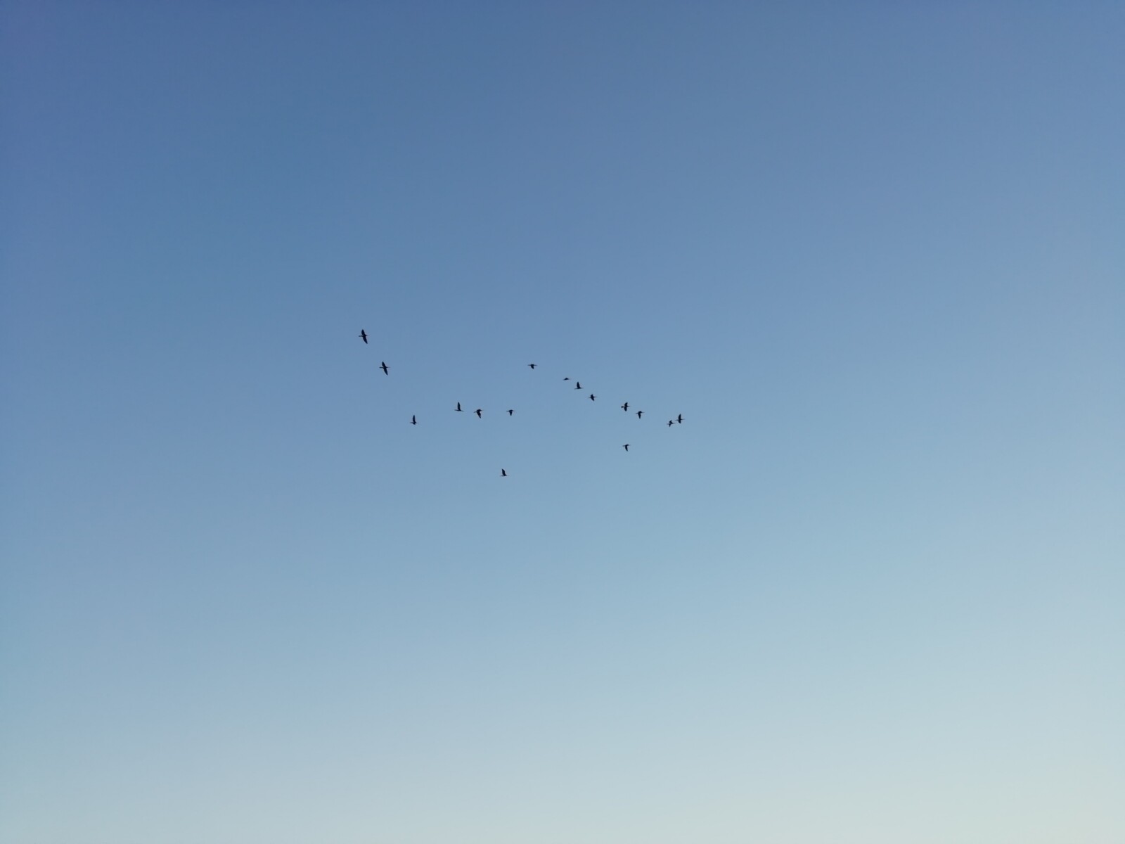 Kevad on kohe-kohe käes!