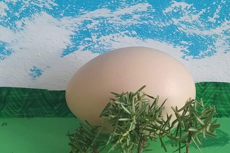 Navitrolla? Ei, meie enda Geron!